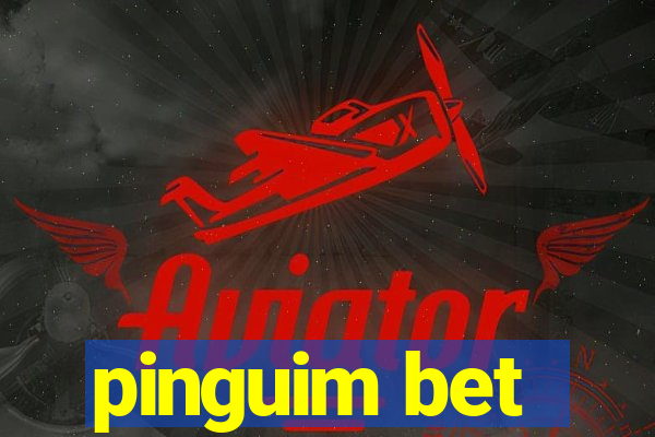 pinguim bet